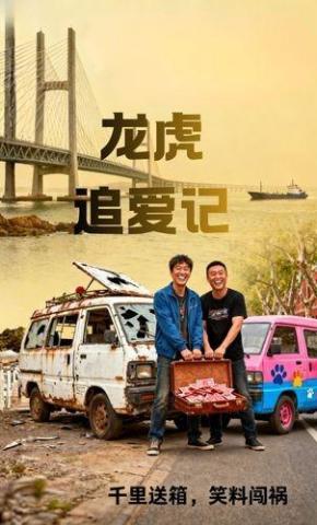 短剧龙虎追爱记海报