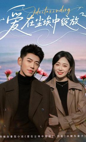 短剧《爱在尘埃中绽放》海报