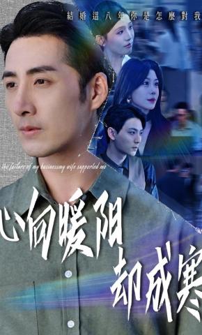 短剧《心向暖阳却成寒》海报