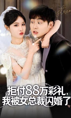 短剧拒付 88 万彩礼，我被女总裁闪婚了海报