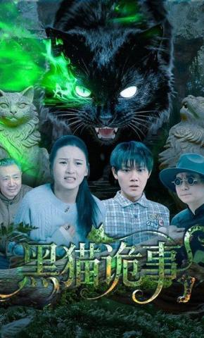短剧黑猫诡事海报