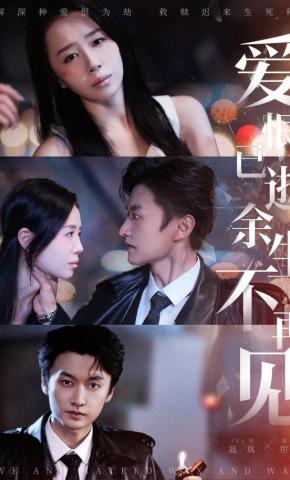 短剧《爱恨已逝，余生不再见》海报