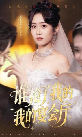 短剧《谁抢了我的宴会厅》海报