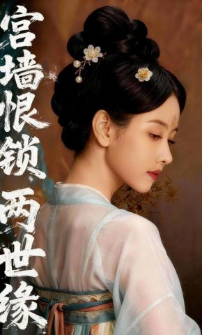 短剧《宫墙恨锁两世缘》海报