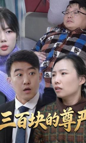 短剧三百块的尊严海报