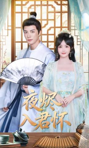 短剧《夜烬入君怀》海报