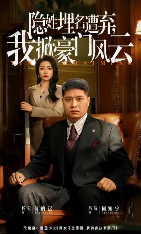 短剧隐姓埋名遭弃，我掀豪门风云海报