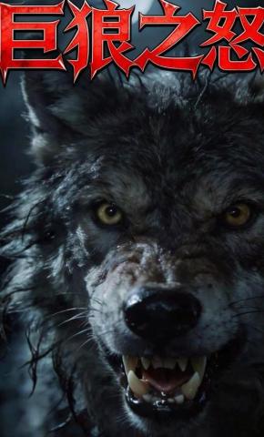 短剧巨狼之怒海报