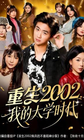 短剧《重生2002我的大学时代》海报
