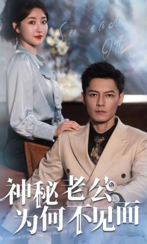 短剧神秘老公为何不见面海报