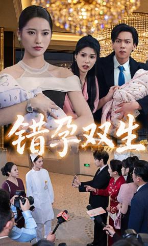 短剧错孕双生海报