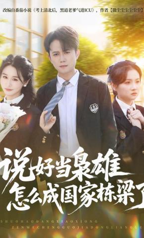 短剧《说好当枭雄怎么成国家栋梁了》海报