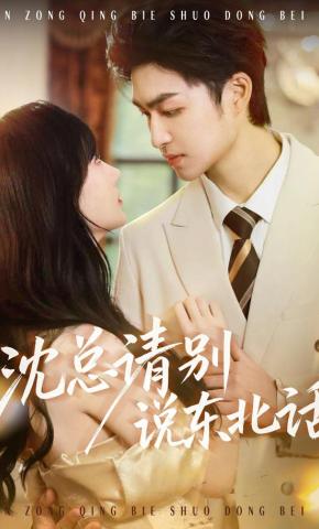 短剧《沈总请别说东北话》海报
