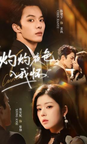 短剧《灼灼夜色入我怀》海报