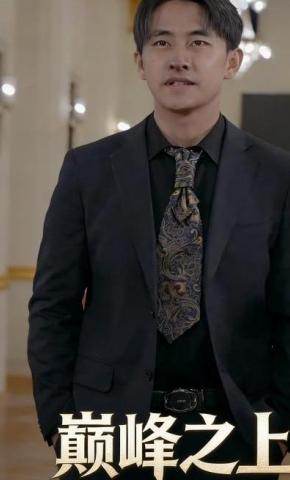 短剧《巅峰之上》海报