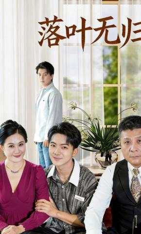 短剧《落叶无归》海报