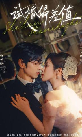 短剧《试婚偏差值》海报