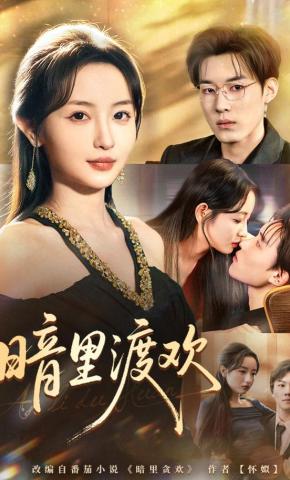 短剧暗里渡欢海报