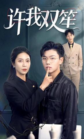 短剧许我双笙海报
