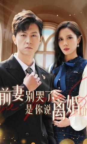 短剧《前妻别哭了，是你说离婚的》海报