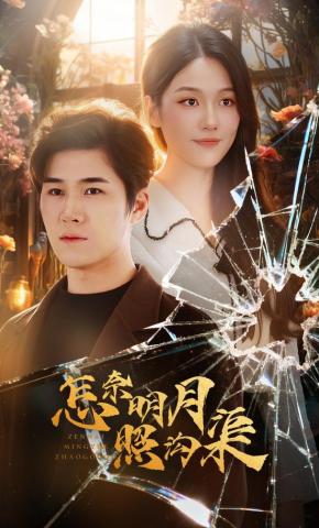 短剧怎奈明月照沟渠海报