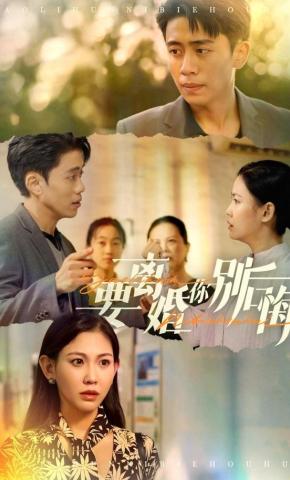 短剧《要离婚你别后悔》海报