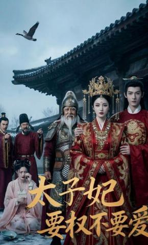 短剧《太子妃要权不要爱》海报