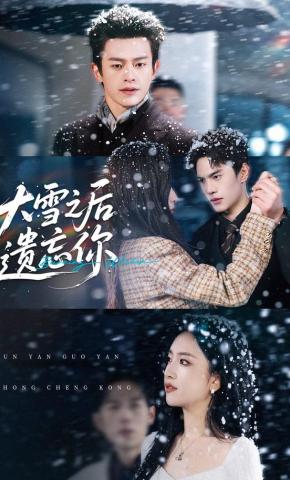 短剧《大雪之后遗忘你》海报