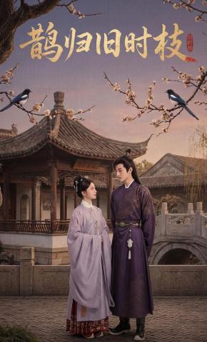 短剧《鹊归旧时枝》海报