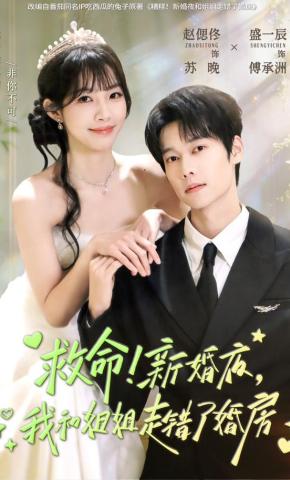 短剧《救命！新婚夜，我和姐姐走错了婚房》海报