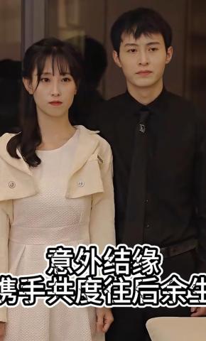 短剧意外结缘携手共度往后余生海报