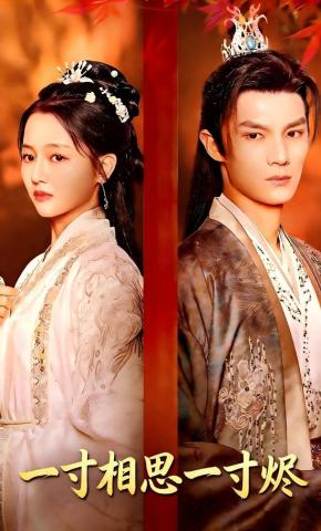 短剧一寸相思一寸烬海报