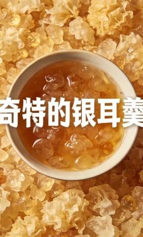 短剧《奇特的银耳羹》海报