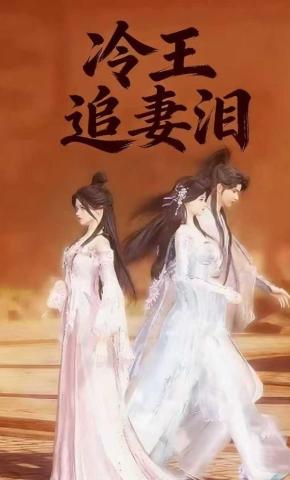 短剧《冷王追妻泪》海报