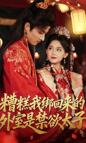 短剧《糟糕我绑回来的外室是禁欲太子》海报