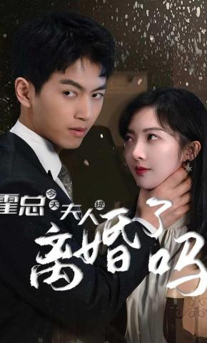 短剧《霍总 今天夫人提离婚了吗》海报