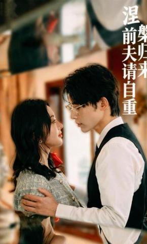 短剧《涅槃归来：前夫请自重》海报