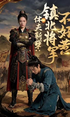 短剧《休夫斩孽：镇北将军不好惹》海报