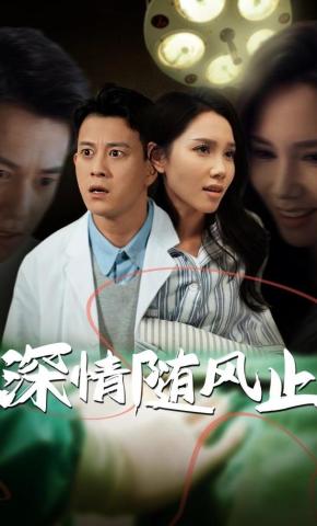 短剧《深情随风止》海报