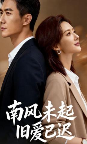 短剧《南风未起旧爱已迟》海报