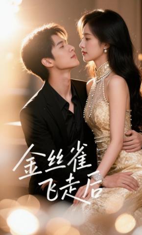 短剧《金丝雀飞走后》海报