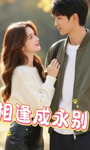 短剧《相逢成永别》海报