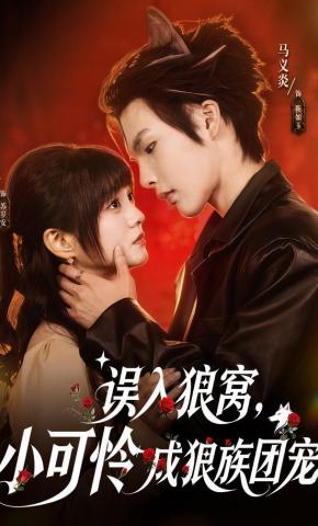 短剧《误入狼窝，小可怜成狼族团宠》海报