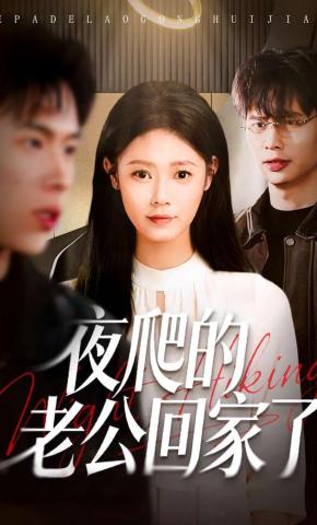 短剧《夜爬的老公回家了》海报