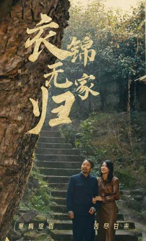 短剧衣锦无家归海报