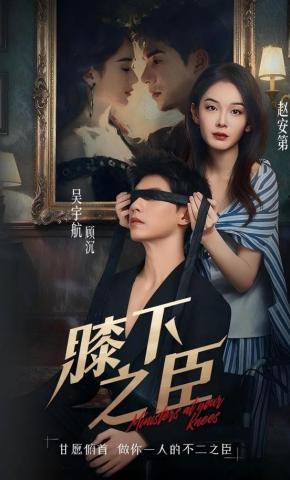 短剧膝下之臣海报