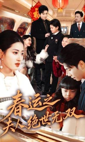 短剧《春运之夫人绝世无双》海报