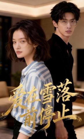 短剧《爱在雪落前停止》海报