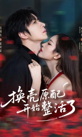 短剧《换壳原配开始整活了》海报