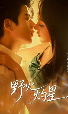 短剧《野火灼星》海报